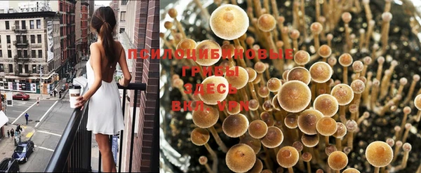 дмт Армянск