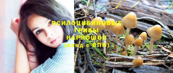 дмт Армянск