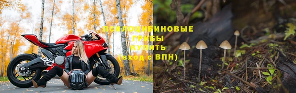 a pvp Арсеньев