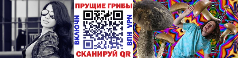что такое   Славск  OMG ссылка  Галлюциногенные грибы ЛСД 